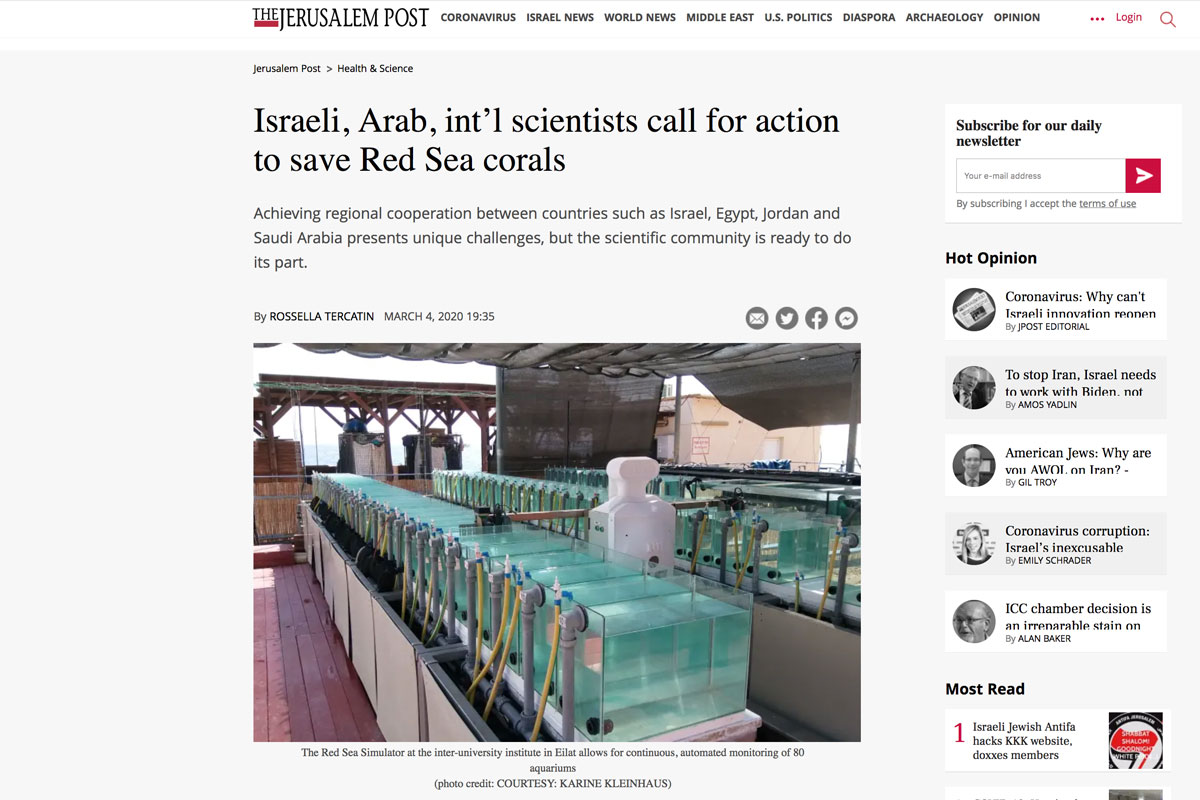 Red Sea Ree Foundation | News - Call to Action to Save Red Sea Corals