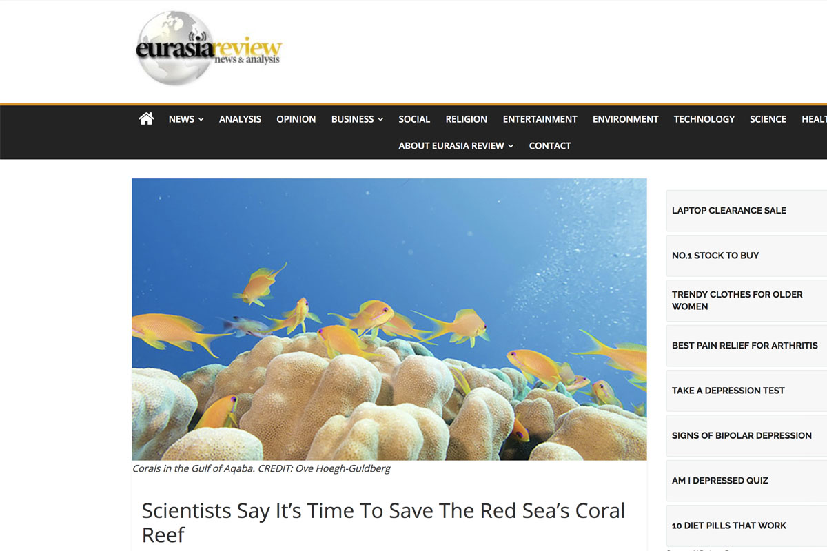 Red Sea Ree Foundation | News - It's Time to Save Red Sea Corals