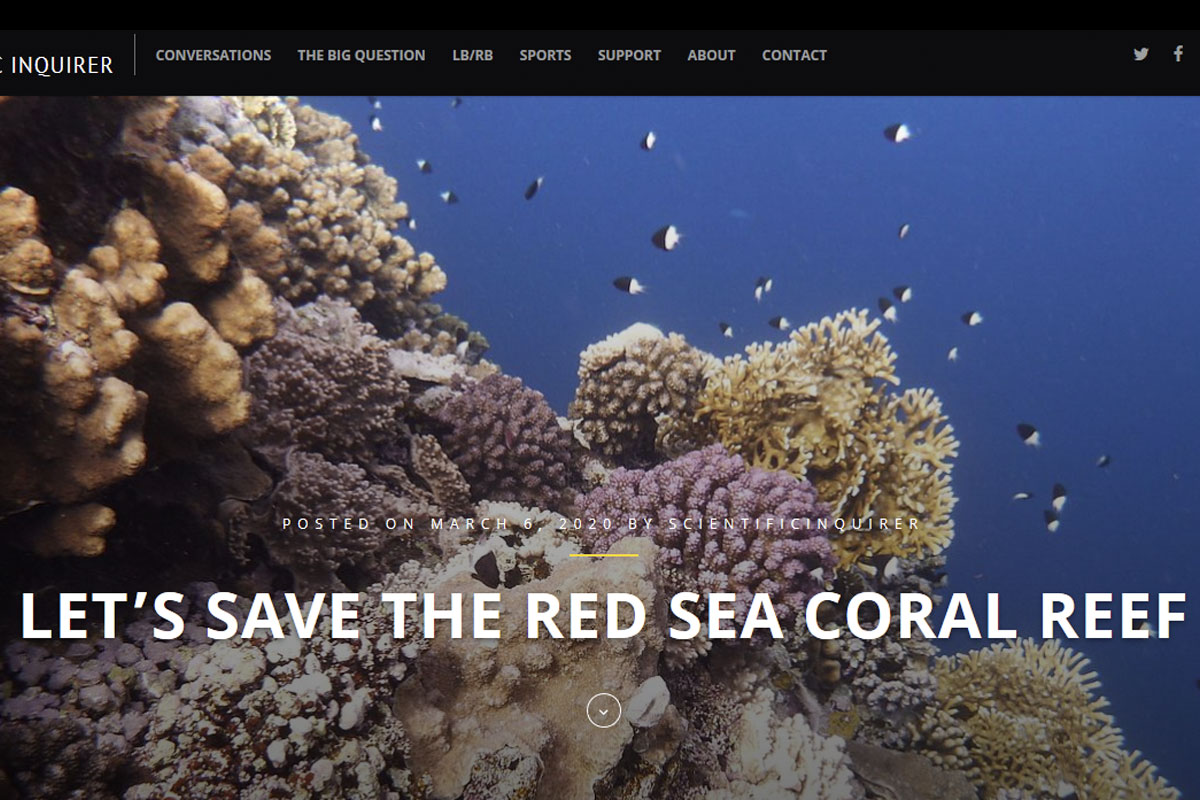 Red Sea Ree Foundation | News - Let's Save The Red Sea Coral Reef